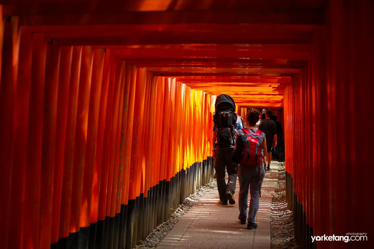 京都千鸟居名场面