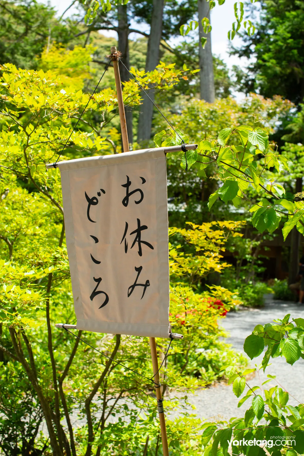 金阁寺里的休息处
